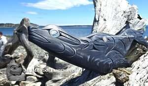 Beautiful Seal, authentic, hand carved, Brian Bob, Nootka - SOLD 