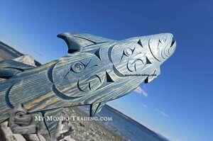 34" large Salmon with Eagle spirits, authentic, hand carved, Nootka artist Brian Bob