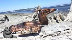 Stained cedar Loon Bowl, hand carved, authentic, by Will Wadhams (video) - SOLD