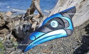 Vibrant blue Steller