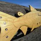 Salmon, Brian Bob