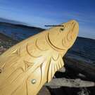 Salmon, Brian Bob