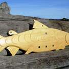 Salmon, Brian Bob