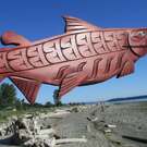 Gorgeous Salmon, inlaid wall art, hand carved by Brian Bob