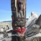 Haida art direct from artist, Northwest Coast native American, Indigenous art, hand carved cedar totem, new in our native Art Gallery on Vancouver Island