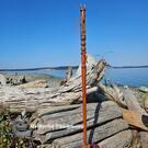 Haida art, direct from artist, authentic local, Canadian Indigenous art, Pacific Northwest Coast native American