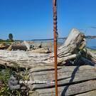 Haida art, direct from artist, authentic local, Canadian Indigenous art, Pacific Northwest Coast native American