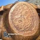 Haida art, Northwest Coast native Indigenous hand carved wooden art, authentic native American art, buy Canadian art