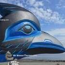 Blue Jay (Steller Jay) Mask, beautiful piece, direct from Kwakiutl artist Greg Henderson