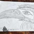 Northwest Coast native art, Original drawings, direct from artist, Indigenous, First Nations art, buy local Canadian art