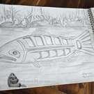 Northwest Coast native art, Original drawings, direct from artist, Indigenous, First Nations art, buy local Canadian art
