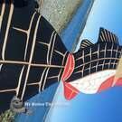 Hand carved native art direct from artist, Indigenous wooden art, authentic Northwest Coast Canada, buy local, cedar