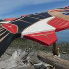 true Indigenous art, Vancouver Island, direct from artist