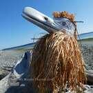 Spirit Raven, Janice Morin