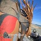 Northwest Coast native American, Indigenous art, Vancouver Island, Canada, authentic, Indigenous mask, hand carved