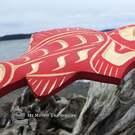 local authentic Canadian Indigenous art direct from artist, Native American art from the Pacific Northwest Coast, authentic and signed