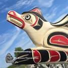 Big Wolf, clean carving, hand painted, authentic art direct from artist Sarah Robertson