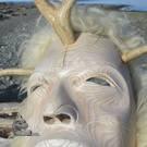 Shaman, Chief Terry Horne