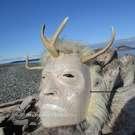 Shaman, Chief Terry Horne