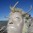 Shaman, Chief Terry Horne