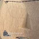 Authentic local Indigenous art, direct from artist, Northwest Coast native North American art, Canada