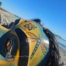 Native American art, Pacific Northwest Coast Canada, authentic and direct from artist